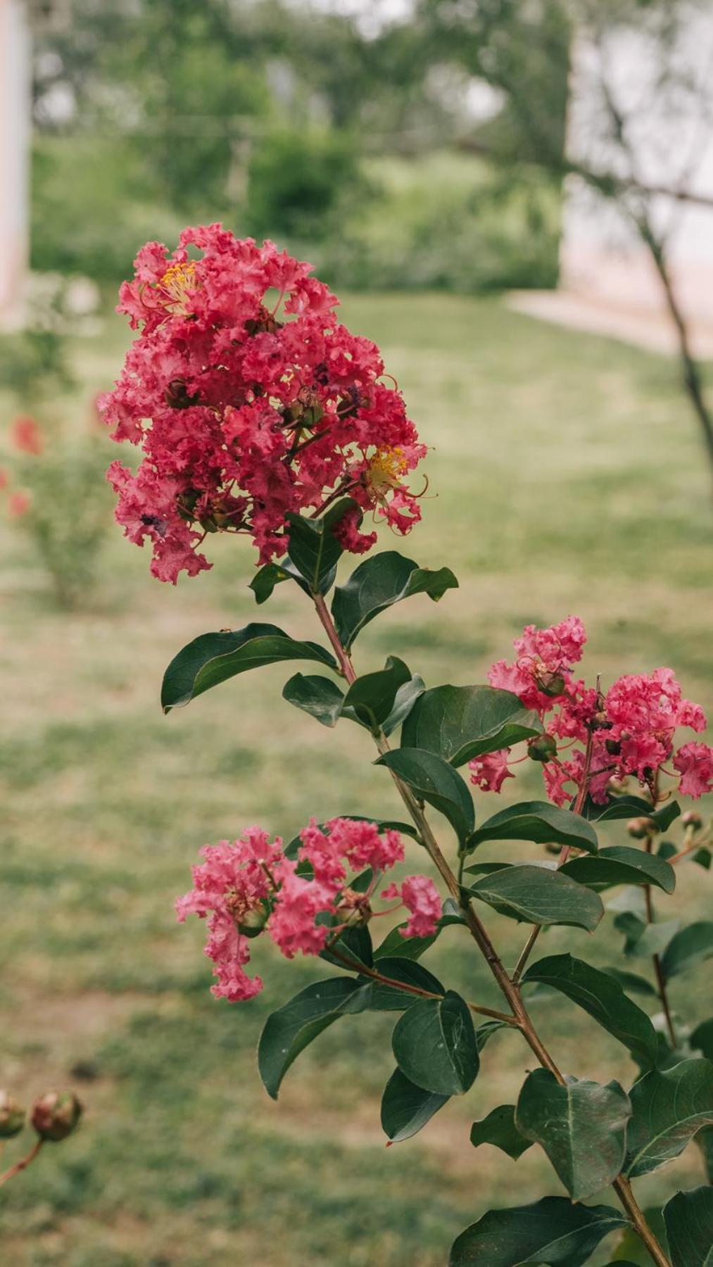Moras Del Manantial Holiday home